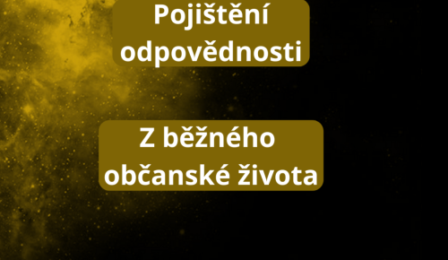 Pojištění odpovědnosti - z běžného občanského života