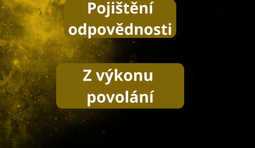 Pojištění odpovědnosti - z výkonu povolání