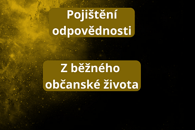 Pojištění odpovědnosti - z běžného občanského života