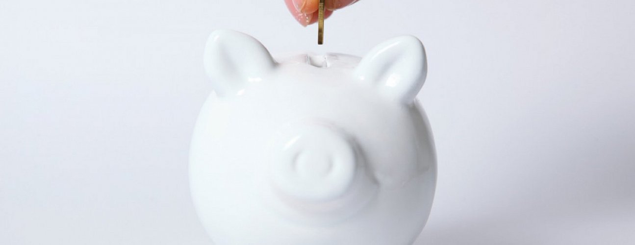 Stát podpoří investice